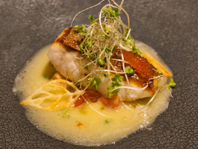 Delicate fish fillet with crisp skin, sprouts and sauce